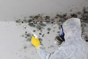 Mold Patrol offers professional mold Removal Services in Greensboro NC.